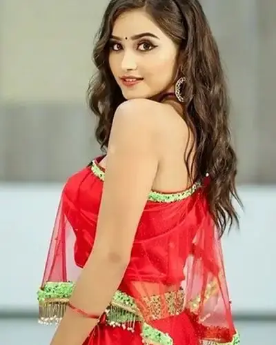 Escort In Hoshiarpur
